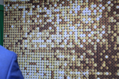 IMG_0022_20260207_220126